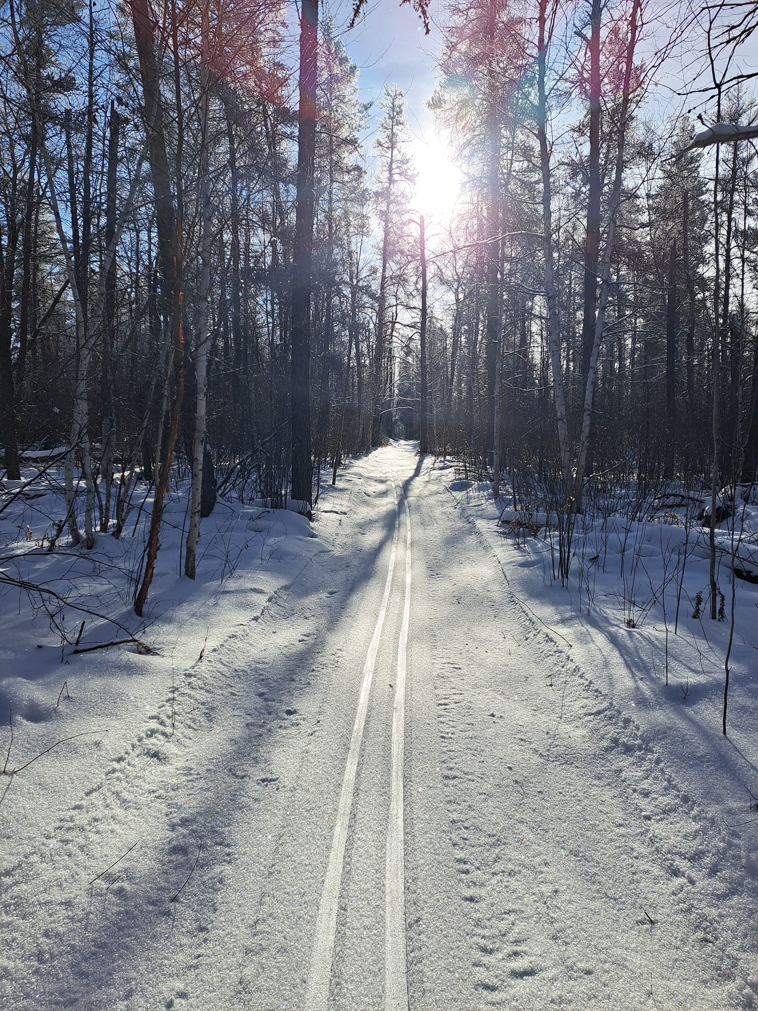 Sandilands Ski Club says trails are in excellent condition thanks to